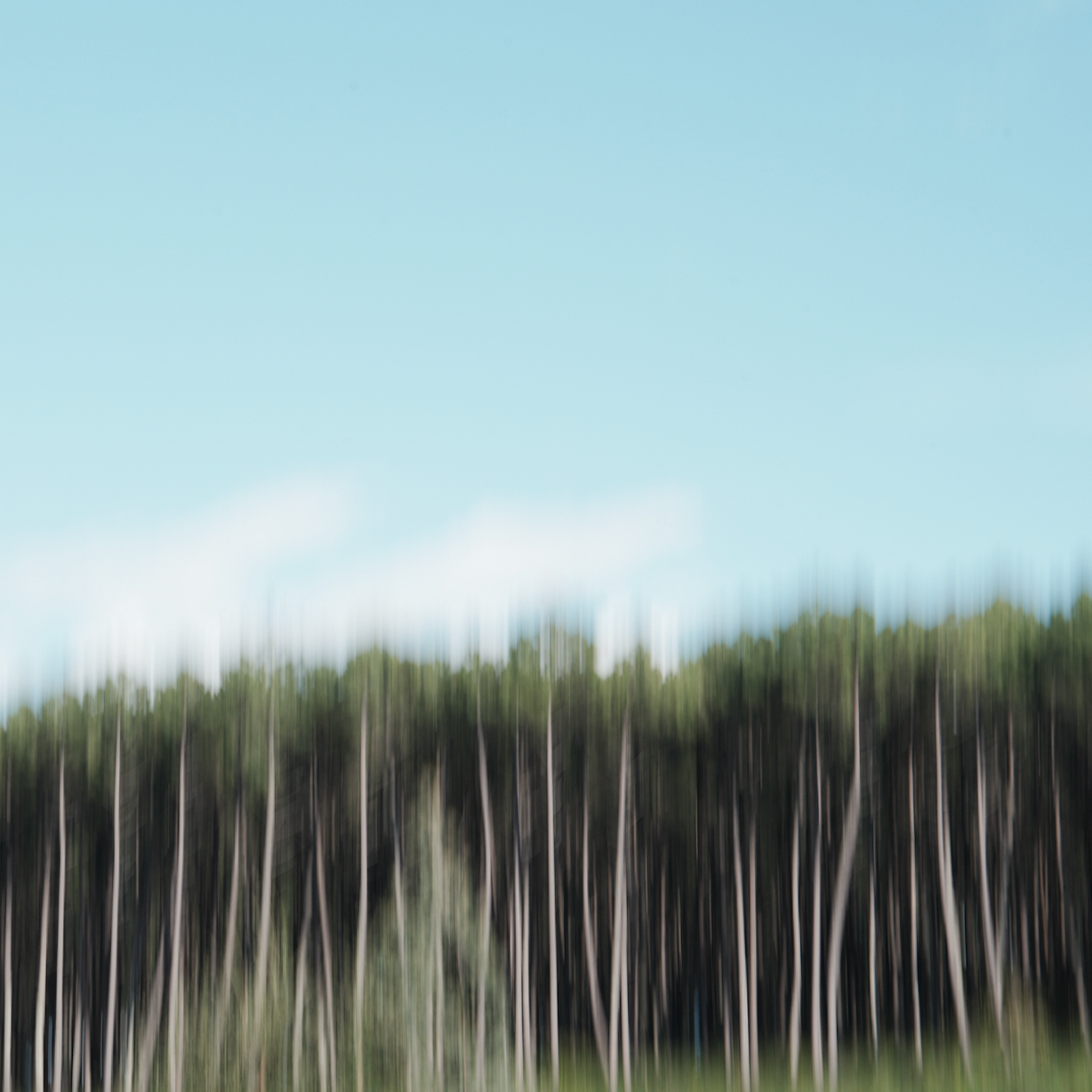 Pourquoi COTS ne fait pas le Black Friday 🌊