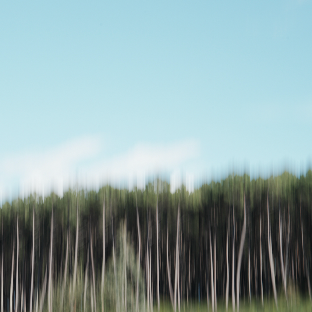 Pourquoi COTS ne fait pas le Black Friday 🌊