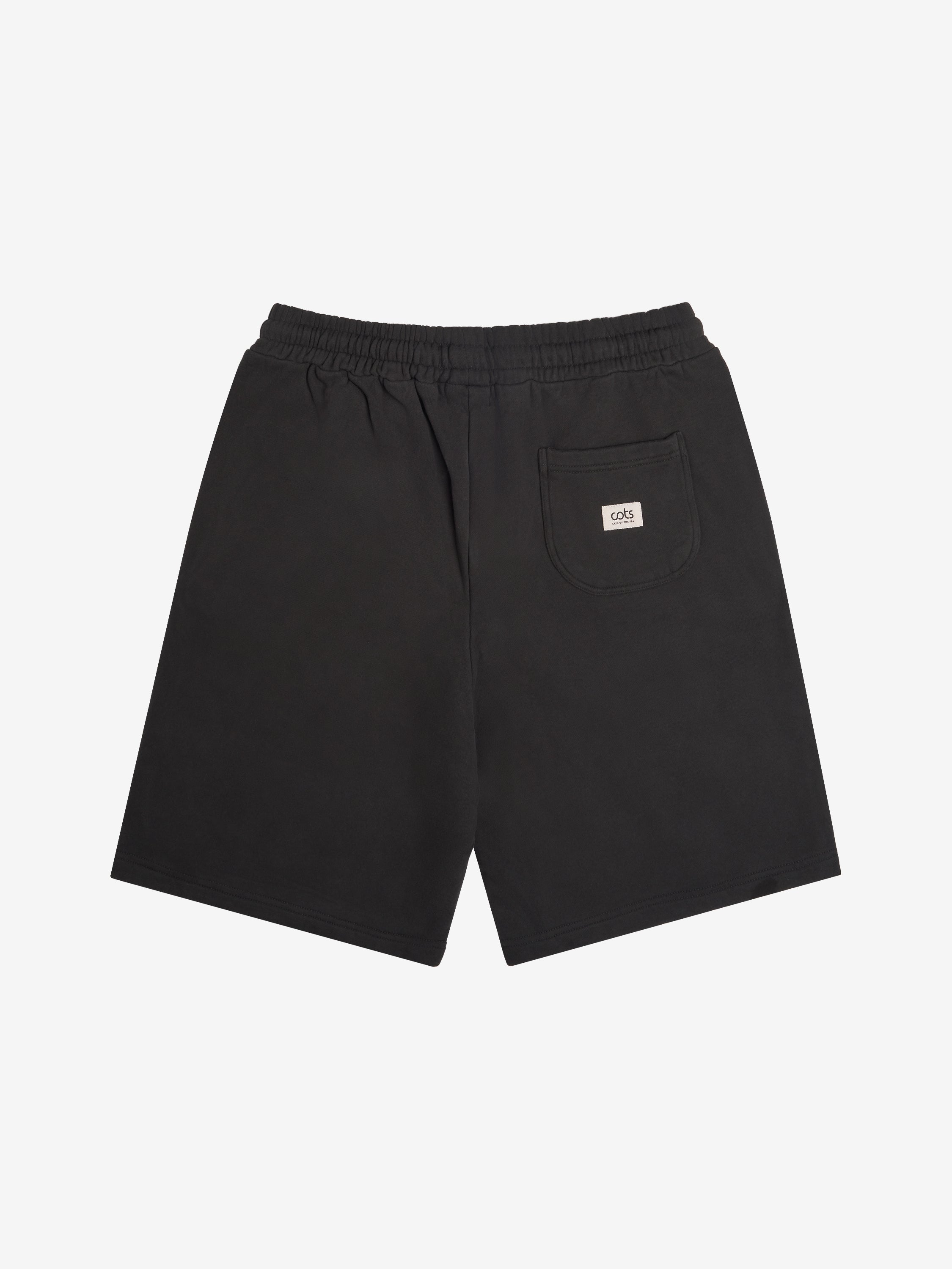 BASICS Short anthracite