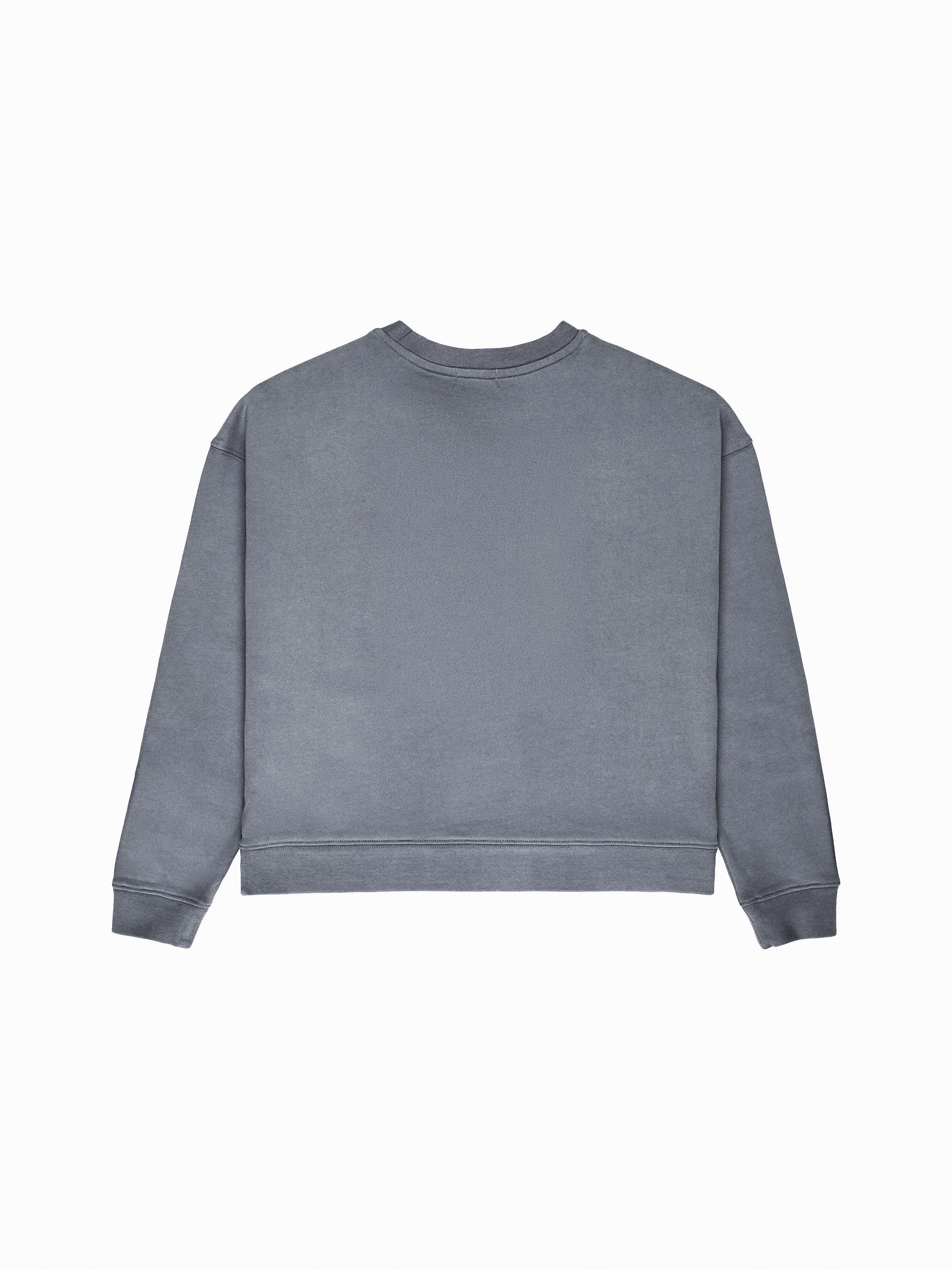 FADED Sweat raglan duck blue femme