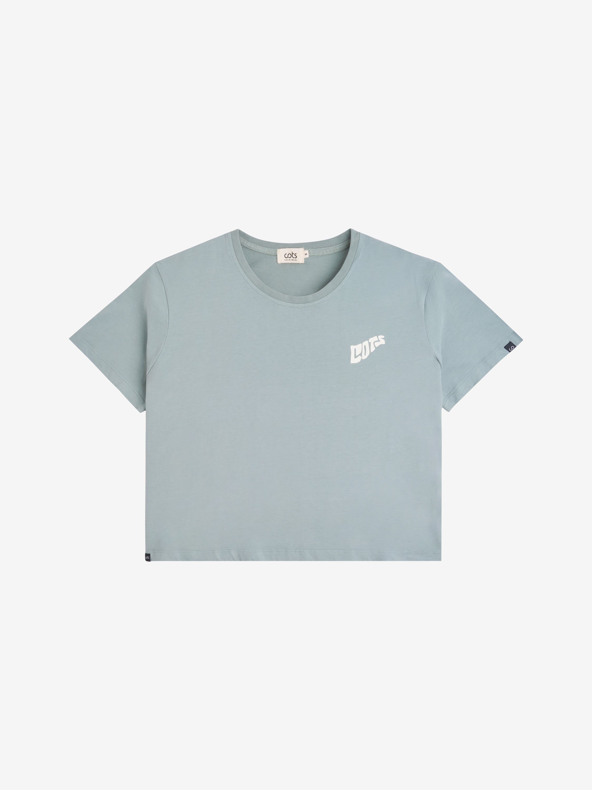ORGANIC T-shirt steel blue femme