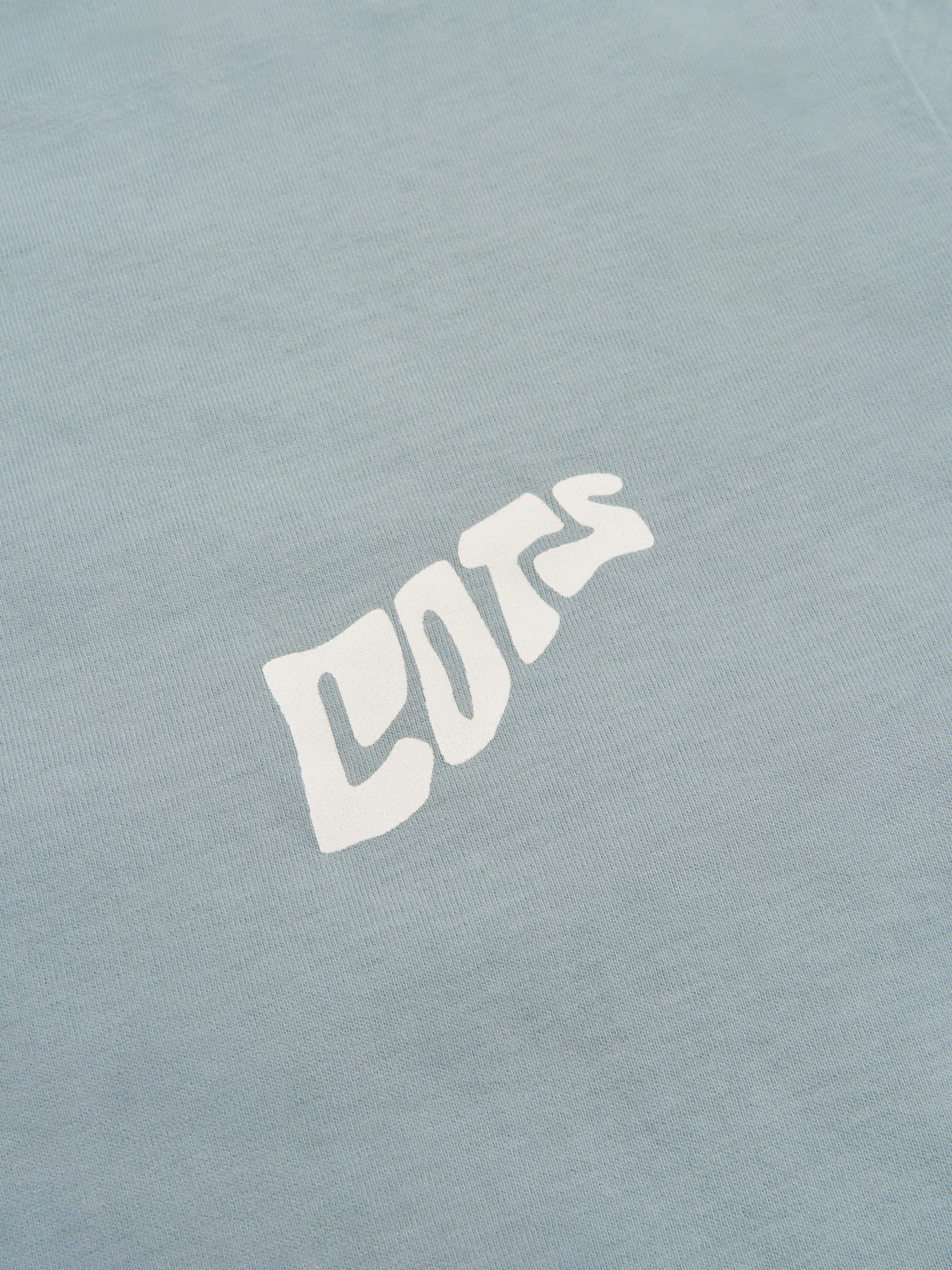 ORGANIC T-shirt steel blue