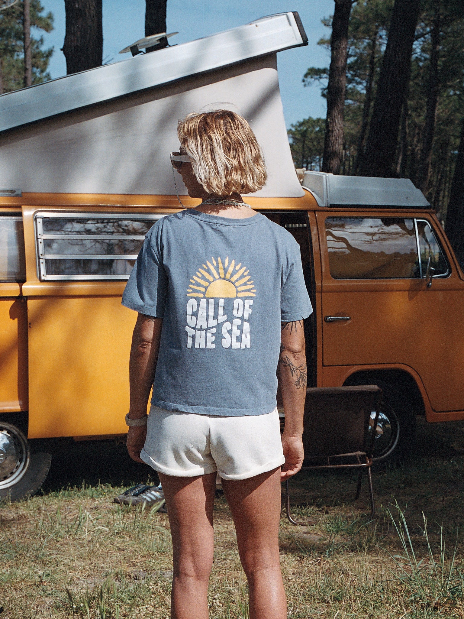 SUNFLOWER Iron blue